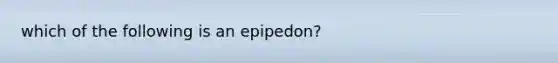 which of the following is an epipedon?