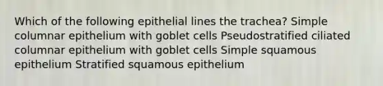 Which of the following epithelial lines the trachea? Simple columnar epithelium with goblet cells Pseudostratified ciliated columnar epithelium with goblet cells Simple squamous epithelium Stratified squamous epithelium