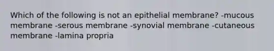 Which of the following is not an epithelial membrane? -mucous membrane -serous membrane -synovial membrane -cutaneous membrane -lamina propria