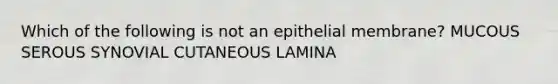 Which of the following is not an epithelial membrane? MUCOUS SEROUS SYNOVIAL CUTANEOUS LAMINA