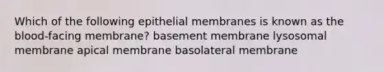 Which of the following epithelial membranes is known as the blood-facing membrane? basement membrane lysosomal membrane apical membrane basolateral membrane