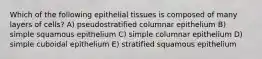 Which of the following epithelial tissues is composed of many layers of cells? A) pseudostratified columnar epithelium B) simple squamous epithelium C) simple columnar epithelium D) simple cuboidal epithelium E) stratified squamous epithelium