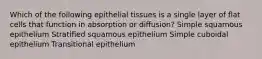 Which of the following epithelial tissues is a single layer of flat cells that function in absorption or diffusion? Simple squamous epithelium Stratified squamous epithelium Simple cuboidal epithelium Transitional epithelium