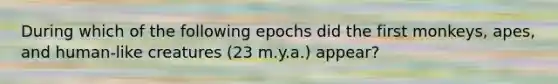 During which of the following epochs did the first monkeys, apes, and human-like creatures (23 m.y.a.) appear?