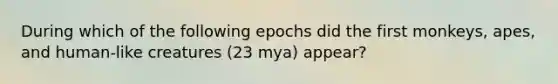 During which of the following epochs did the first monkeys, apes, and human-like creatures (23 mya) appear?