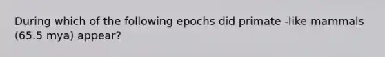 During which of the following epochs did primate -like mammals (65.5 mya) appear?