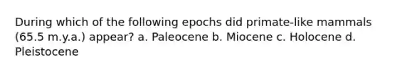 During which of the following epochs did primate-like mammals (65.5 m.y.a.) appear? a. Paleocene b. Miocene c. Holocene d. Pleistocene