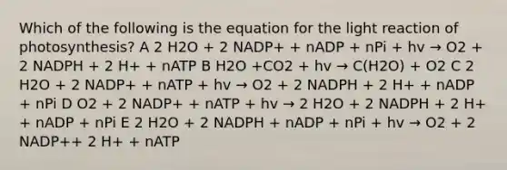 Which of the following is the equation for the light reaction of photosynthesis? A 2 H2O + 2 NADP+ + nADP + nPi + hv → O2 + 2 NADPH + 2 H+ + nATP B H2O +CO2 + hv → C(H2O) + O2 C 2 H2O + 2 NADP+ + nATP + hv → O2 + 2 NADPH + 2 H+ + nADP + nPi D O2 + 2 NADP+ + nATP + hv → 2 H2O + 2 NADPH + 2 H+ + nADP + nPi E 2 H2O + 2 NADPH + nADP + nPi + hv → O2 + 2 NADP++ 2 H+ + nATP