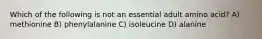 Which of the following is not an essential adult amino acid? A) methionine B) phenylalanine C) isoleucine D) alanine