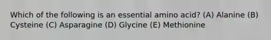 Which of the following is an essential amino acid? (A) Alanine (B) Cysteine (C) Asparagine (D) Glycine (E) Methionine