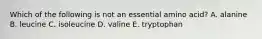 Which of the following is not an essential amino acid? A. alanine B. leucine C. isoleucine D. valine E. tryptophan