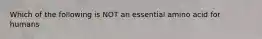 Which of the following is NOT an essential amino acid for humans