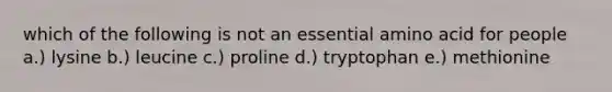 which of the following is not an essential amino acid for people a.) lysine b.) leucine c.) proline d.) tryptophan e.) methionine