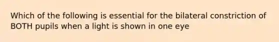 Which of the following is essential for the bilateral constriction of BOTH pupils when a light is shown in one eye