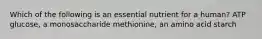 Which of the following is an essential nutrient for a human? ATP glucose, a monosaccharide methionine, an amino acid starch