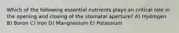 Which of the following essential nutrients plays an critical role in the opening and closing of the stomatal aperture? A) Hydrogen B) Boron C) Iron D) Mangnesium E) Potassium