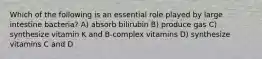 Which of the following is an essential role played by large intestine bacteria? A) absorb bilirubin B) produce gas C) synthesize vitamin K and B-complex vitamins D) synthesize vitamins C and D