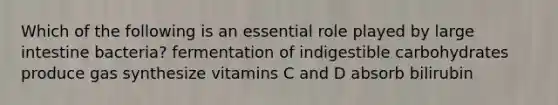 Which of the following is an essential role played by large intestine bacteria? fermentation of indigestible carbohydrates produce gas synthesize vitamins C and D absorb bilirubin