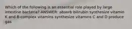 Which of the following is an essential role played by large intestine bacteria? ANSWER: absorb bilirubin synthesize vitamin K and B-complex vitamins synthesize vitamins C and D produce gas