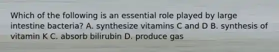 Which of the following is an essential role played by large intestine bacteria? A. synthesize vitamins C and D B. synthesis of vitamin K C. absorb bilirubin D. produce gas