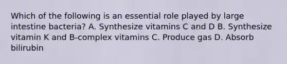 Which of the following is an essential role played by large intestine bacteria? A. Synthesize vitamins C and D B. Synthesize vitamin K and B-complex vitamins C. Produce gas D. Absorb bilirubin