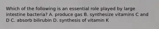 Which of the following is an essential role played by large intestine bacteria? A. produce gas B. synthesize vitamins C and D C. absorb bilirubin D. synthesis of vitamin K