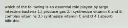 which of the following is an essential role played by large intestine bacteria 1.) produce gas 2.) synthesize vitamin K and B-complex vitamins 3.) synthesize vitamin C and D 4.) absorb bilirubin