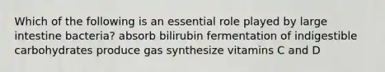 Which of the following is an essential role played by large intestine bacteria? absorb bilirubin fermentation of indigestible carbohydrates produce gas synthesize vitamins C and D