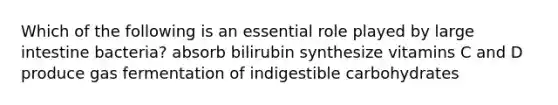 Which of the following is an essential role played by large intestine bacteria? absorb bilirubin synthesize vitamins C and D produce gas fermentation of indigestible carbohydrates