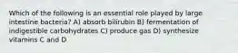 Which of the following is an essential role played by large intestine bacteria? A) absorb bilirubin B) fermentation of indigestible carbohydrates C) produce gas D) synthesize vitamins C and D