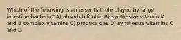 Which of the following is an essential role played by large intestine bacteria? A) absorb bilirubin B) synthesize vitamin K and B-complex vitamins C) produce gas D) synthesize vitamins C and D