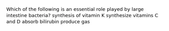 Which of the following is an essential role played by large intestine bacteria? synthesis of vitamin K synthesize vitamins C and D absorb bilirubin produce gas