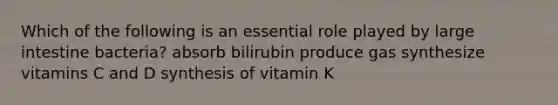 Which of the following is an essential role played by <a href='https://www.questionai.com/knowledge/kGQjby07OK-large-intestine' class='anchor-knowledge'>large intestine</a> bacteria? absorb bilirubin produce gas synthesize vitamins C and D synthesis of vitamin K