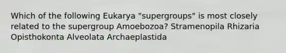 Which of the following Eukarya "supergroups" is most closely related to the supergroup Amoebozoa? Stramenopila Rhizaria Opisthokonta Alveolata Archaeplastida