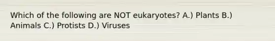 Which of the following are NOT eukaryotes? A.) Plants B.) Animals C.) Protists D.) Viruses