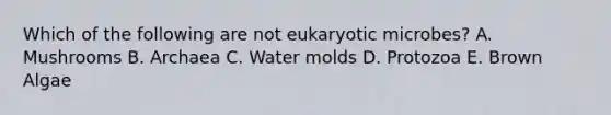 Which of the following are not eukaryotic microbes? A. Mushrooms B. Archaea C. Water molds D. Protozoa E. Brown Algae