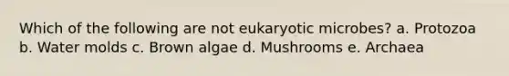 Which of the following are not eukaryotic microbes? a. Protozoa b. Water molds c. Brown algae d. Mushrooms e. Archaea