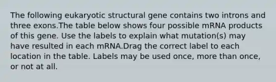 The following eukaryotic structural gene contains two introns and three exons.The table below shows four possible mRNA products of this gene. Use the labels to explain what mutation(s) may have resulted in each mRNA.Drag the correct label to each location in the table. Labels may be used once, more than once, or not at all.