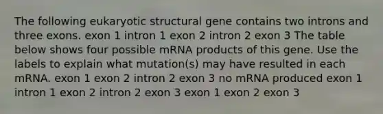 The following eukaryotic structural gene contains two introns and three exons. exon 1 intron 1 exon 2 intron 2 exon 3 The table below shows four possible mRNA products of this gene. Use the labels to explain what mutation(s) may have resulted in each mRNA. exon 1 exon 2 intron 2 exon 3 no mRNA produced exon 1 intron 1 exon 2 intron 2 exon 3 exon 1 exon 2 exon 3