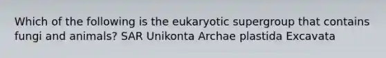 Which of the following is the eukaryotic supergroup that contains fungi and animals? SAR Unikonta Archae plastida Excavata