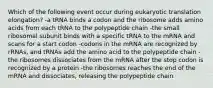 Which of the following event occur during eukaryotic translation elongation? -a tRNA binds a codon and the ribosome adds amino acids from each tRNA to the polypeptide chain -the small ribosomal subunit binds with a specific tRNA to the mRNA and scans for a start codon -codons in the mRNA are recognized by rRNAs, and tRNAs add the amino acid to the polypeptide chain -the ribosomes dissociates from the mRNA after the stop codon is recognized by a protein -the ribosomes reaches the end of the mRNA and dissociates, releasing the polypeptide chain