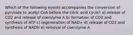 Which of the following events accompanies the conversion of pyruvate to acetyl CoA before the citric acid cycle? a) release of CO2 and release of coenzyme A b) formation of CO2 and synthesis of ATP c) regeneration of NAD+ d) release of CO2 and synthesis of NADH e) removal of coenzyme A