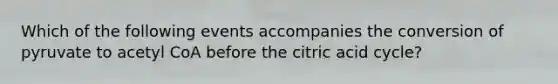 Which of the following events accompanies the conversion of pyruvate to acetyl CoA before the citric acid cycle?