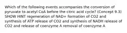 Which of the following events accompanies the conversion of pyruvate to acetyl CoA before the citric acid cycle? (Concept 9.3) SHOW HINT regeneration of NAD+ formation of CO2 and synthesis of ATP release of CO2 and synthesis of NADH release of CO2 and release of coenzyme A removal of coenzyme A