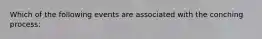 Which of the following events are associated with the conching process: