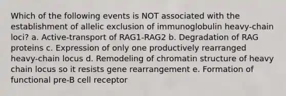 Which of the following events is NOT associated with the establishment of allelic exclusion of immunoglobulin heavy-chain loci? a. Active-transport of RAG1-RAG2 b. Degradation of RAG proteins c. Expression of only one productively rearranged heavy-chain locus d. Remodeling of chromatin structure of heavy chain locus so it resists gene rearrangement e. Formation of functional pre-B cell receptor