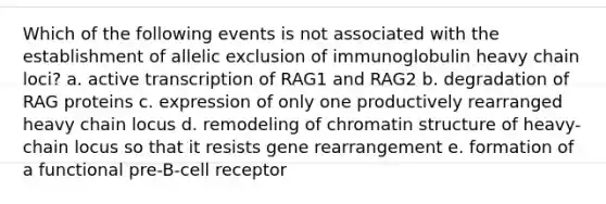 Which of the following events is not associated with the establishment of allelic exclusion of immunoglobulin heavy chain loci? a. active transcription of RAG1 and RAG2 b. degradation of RAG proteins c. expression of only one productively rearranged heavy chain locus d. remodeling of chromatin structure of heavy-chain locus so that it resists gene rearrangement e. formation of a functional pre-B-cell receptor