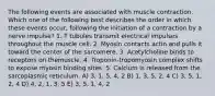 The following events are associated with muscle contraction. Which one of the following best describes the order in which these events occur, following the initiation of a contraction by a nerve impulse? 1. T tubules transmit electrical impulses throughout the muscle cell. 2. Myosin contacts actin and pulls it toward the center of the sarcomere. 3. Acetylcholine binds to receptors on themuscle. 4. Troponin-tropomyosin complex shifts to expose myosin binding sites. 5. Calcium is released from the sarcoplasmic reticulum. A) 3, 1, 5, 4, 2 B) 1, 3, 5, 2, 4 C) 3, 5, 1, 2, 4 D) 4, 2, 1, 3, 5 E) 3, 5, 1, 4, 2