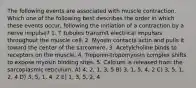 The following events are associated with muscle contraction. Which one of the following best describes the order in which these events occur, following the initiation of a contraction by a nerve impulse? 1. T tubules transmit electrical impulses throughout the muscle cell. 2. Myosin contacts actin and pulls it toward the center of the sarcomere. 3. Acetylcholine binds to receptors on the muscle. 4. Troponin-tropomyosin complex shifts to expose myosin binding sites. 5. Calcium is released from the sarcoplasmic reticulum. A) 4, 2, 1, 3, 5 B) 3, 1, 5, 4, 2 C) 3, 5, 1, 2, 4 D) 3, 5, 1, 4, 2 E) 1, 3, 5, 2, 4