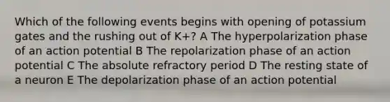 Which of the following events begins with opening of potassium gates and the rushing out of K+? A The hyperpolarization phase of an action potential B The repolarization phase of an action potential C The absolute refractory period D The resting state of a neuron E The depolarization phase of an action potential